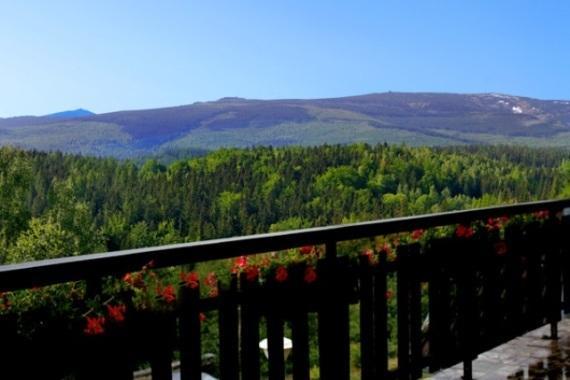 Zloty Widok Bed & Breakfast Podgorzyn Bagian luar foto